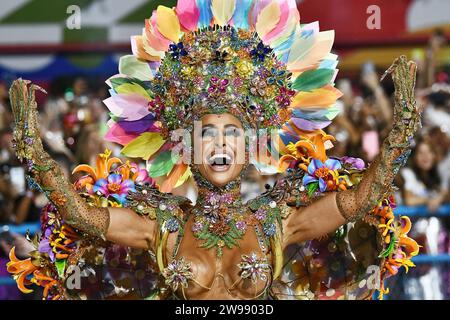 Rio de Janeiro, Brazil, February 26, 2023. Parade of the samba schools during the carnival in the city of Rio de Janeiro Stock Photo