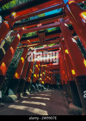 A vivid tunnel of red Torii gates line the stone stairs leading to the ...