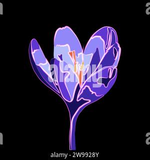 Vector isolated crocus illustration with neon effect. Stock Vector