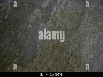 Wet outdoor floor tile turning green due to constant wet weather. Stock Photo
