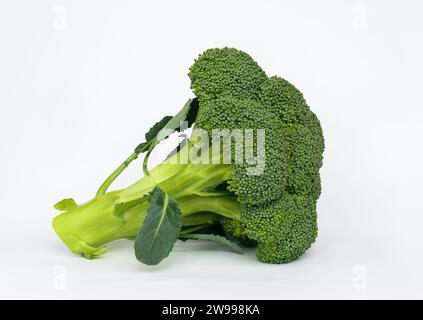 Fresh broccoli lies isolated on a white background in close-up Stock Photo