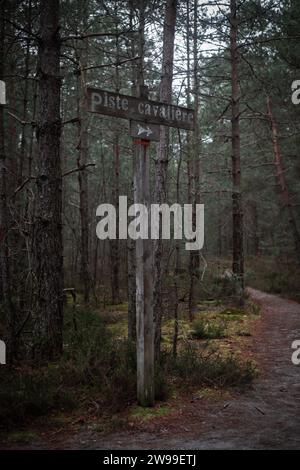 Road in the Forest of Fontainebleau Stock Photo - Alamy