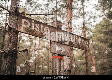 Road in the Forest of Fontainebleau Stock Photo - Alamy