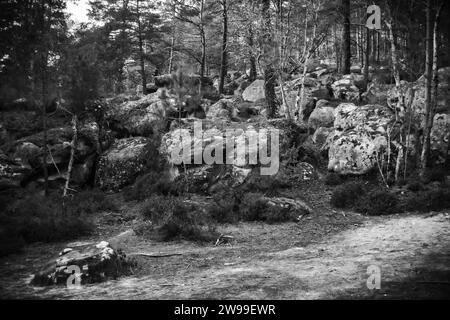 A black and white image of the Fontainebleau Forest with a variety of rocks and trees Stock Photo