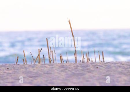 A tranquil scenery on a beach, overlooking the ocean Stock Photo