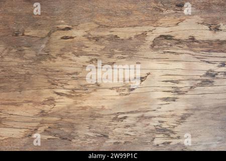 close-up of natural wooden surface, abstract of empty hardwood board background texture or wallpaper for graphic designing, light brown color Stock Photo
