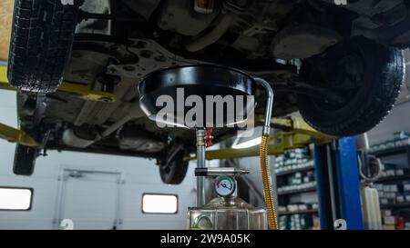 The process of changing the oil in a car engine. Draining old dark used oil from a car on a lift.  Stock Photo