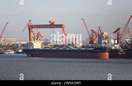 Shanghai Shipyard Co Ltd (CSSC) with new bulk carrier cargo ships, gantry cranes, Stock Photo