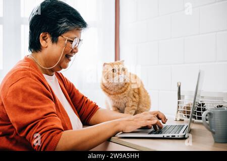 A woman works on her laptop at her desk in the morning, with her elderly cat looking on. Their Stock Photo