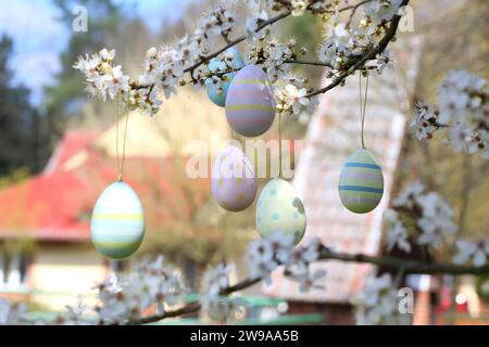 colorful easter eggs hanging on blooming plum tree branches outdoor in park or garden Stock Photo