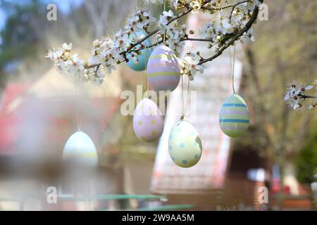 colorful easter eggs hanging on blooming plum tree branches outdoor in park or garden Stock Photo