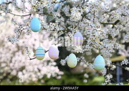 colorful easter eggs hanging on blooming plum tree branches outdoor in park or garden Stock Photo