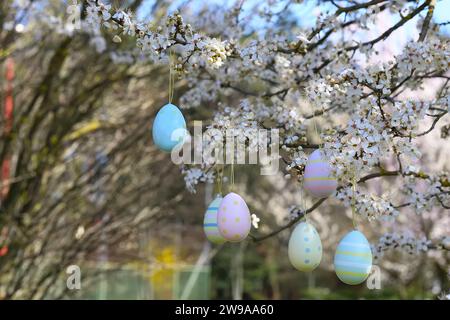 colorful easter eggs hanging on blooming plum tree branches outdoor in park or garden Stock Photo