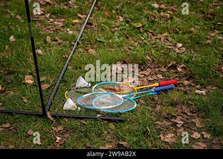 Badminton rackets and white cream badminton shuttlecocks after playing or after games on green floor in indoor badminton court, soft focus, concept fo Stock Photo