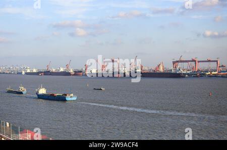 Shanghai Shipyard Co Ltd (CSSC) with new bulk carrier cargo ships, gantry cranes, Stock Photo