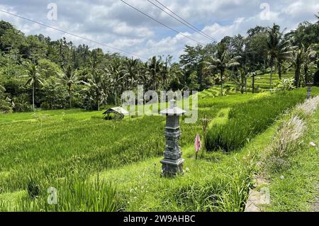 Bali ist eine zu Indonesien gehörende Insel im Indischen Ozean mit einem tropisch warmen Durchschnittsklima. Hauptstadt der Insel ist Denpasar. Mit einer Fläche von 5590 Quadratkilometern ist Bali die mit Abstand grösste Insel der gleichnamigen Provinz. Bei der Volkszählung 2020 hatte Bali rund 4,3 Millionen Einwohner *** Bali is an island in the Indian Ocean belonging to Indonesia with an average tropical warm climate The capital of the island is Denpasar With an area of 5590 square kilometers, Bali is by far the largest island in the province of the same name At the 2020 census, Bali had a p Stock Photo