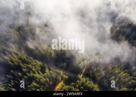Aerial view of mountain forest in low clouds at sunrise. Beautiful landscape of foggy forest with countryside road. Top view. Stock Photo