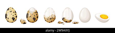 Quail eggs color vector icon set. Stages of egg peeling for eating illustrations pack isolated on white background. Delicacy organic product Stock Vector