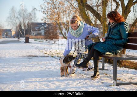 Two frozen women sit on a park bench during winter. Stock Photo