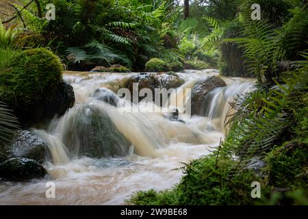 Waterfall in Terra Norstra Gardens on Sao Miguel Island, Azores Stock Photo