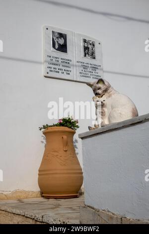 Detail of the White house, where was living british writer Lawrence Durrell. Statue of cats, pot with plants and memory tableaus. Kalami, Corfu, Greec Stock Photo