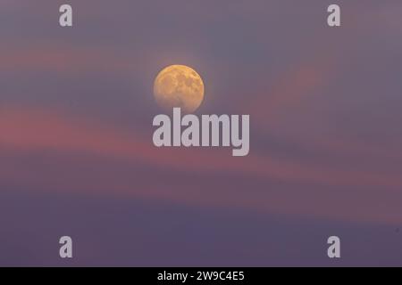 The buck moon rising in the early evening sky. Stock Photo