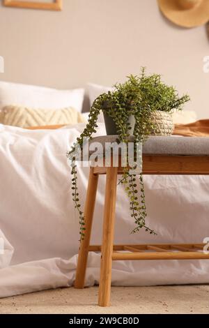 Grey bench near bed in interior of cozy bedroom Stock Photo