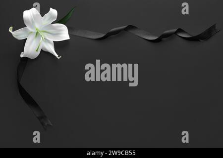 Beautiful lily flower with funeral ribbon on black background Stock Photo