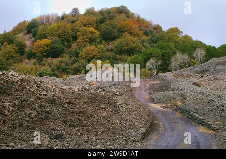 a path through an old lava field pointing to volcano M. Lepre covered of the autumn foliage of a mixed forest, Etna Park, Sicily, Italy Stock Photo