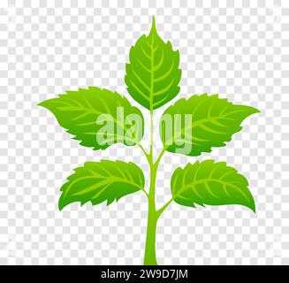 green leaves on isolated background, for logos, designs, for the symbolism of the green planet. logo template, health food icon, organic vegetable Stock Vector