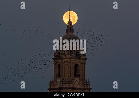 Malaga, Spain. 27th Dec, 2023. The full moon of December, known as the 'cold moon', is seen in the sky on the top of Malaga cathedral. In December takes place the last full moon of the year and the first of winter, called the cold moon due to the cold temperatures of winter in the Northern Hemisphere. Credit: SOPA Images Limited/Alamy Live News Stock Photo