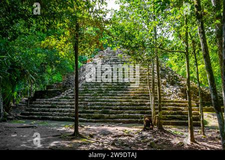 Coba Maya Ruins The Ancient Buildings And Pyramids In The Tropical Forest Jungle In Coba Municipality Tulum Quintana Roo Mexico. Stock Photo