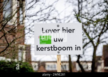 AMSTERDAM - A sign here, hand in your Christmas tree at a Christmas tree collection point after the holidays. ANP ROBIN UTRECHT netherlands out - belgium out Stock Photo