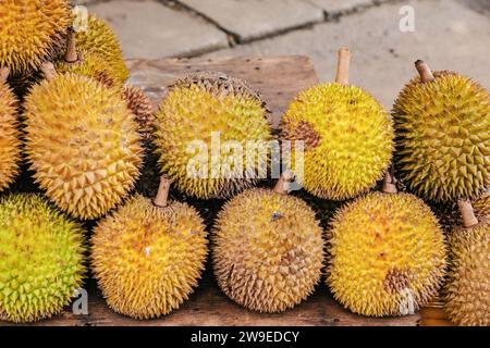 round ripe yellow durian fruits folded in pile on wooden counter for sale. Traditional fruit of Sri Lanka Stock Photo