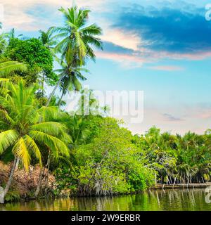 River, beautiful sunrise and tropical palms. The concept is travel. Stock Photo