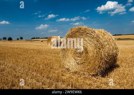 Neatly rolled up bales of hay waiting to be harvested in the summer in France Stock Photo
