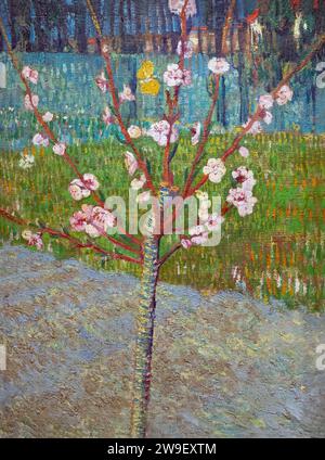 Peach Tree in Blossom, Almond Tree in Blossom, Vincent van Gogh, 1888, Stock Photo