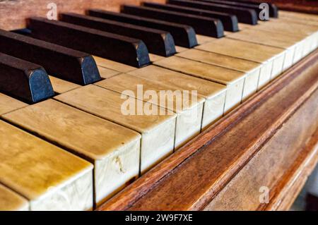 real elephant ivory piano keys on old wooden grand piano black and white keys with dirt, sweat and finger oils pattern detail late 1800s instrument, w Stock Photo