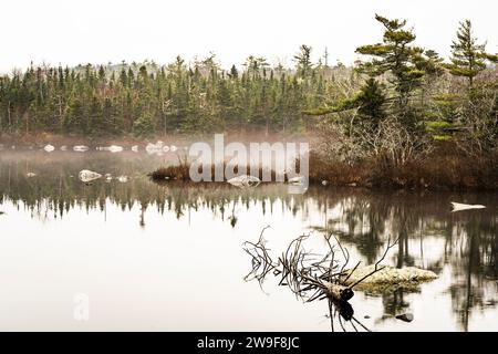Reflections on a calm lake on a foggy morning. Stock Photo