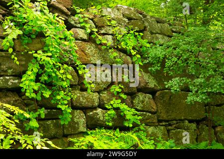 Perimeter Wall, Old New-Gate Prison & Copper Mine Archaeological Preserve, Connecticut Stock Photo