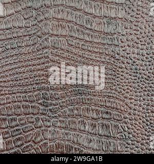 Background image - textured texture of brown crocodile skin. Stock Photo