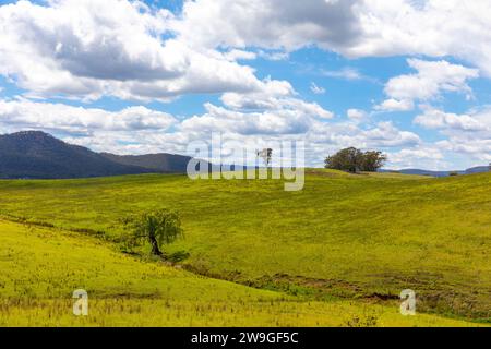 Australian landscape in New South Wales with view of blue mountains range,NSW,Australia Stock Photo