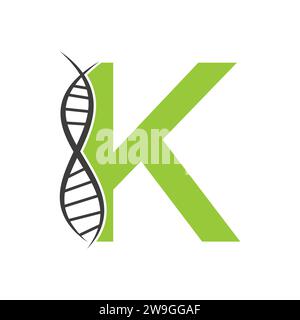 DNA Logo On Letter K Vector Template For Healthcare Sign Stock Vector