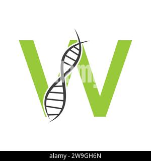 DNA Logo On Letter W Vector Template For Healthcare Sign Stock Vector