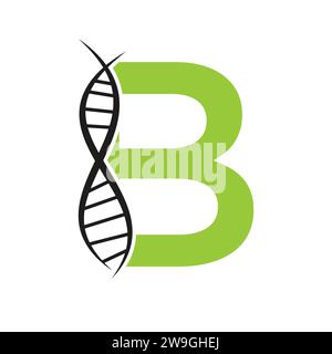 DNA Logo On Letter B Vector Template For Healthcare Sign Stock Vector