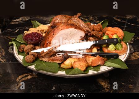 The Christmas Turkey Stock Photo