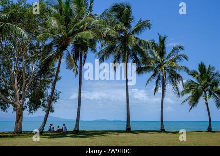 A family picnicking beneath coconut palm trees at Rex Smeal Park in Port Douglas with a view of Snapper Island, Queensland, Australia Stock Photo