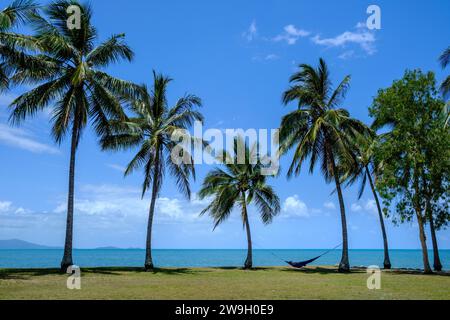 A man relaxing in a hammock with a view of the Coral Sea and Snapper Island from Rex Smeal Park in Port Douglas, Queensland, Australia Stock Photo