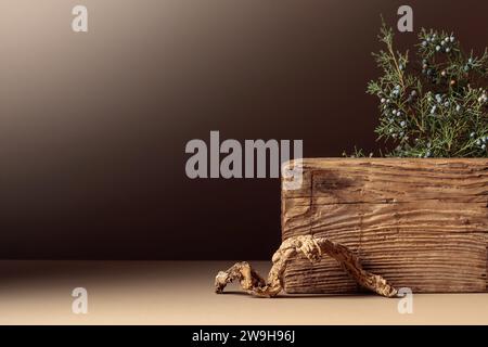 Abstract composition of old wooden plank and juniper branch. Neutral beige background for cosmetic, beauty product branding, and spa concept. Natural Stock Photo