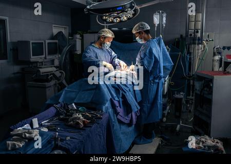 Wide view of a team of two surgeons operating on a patient in a dark OR at a hospital. Hospital surgery Stock Photo